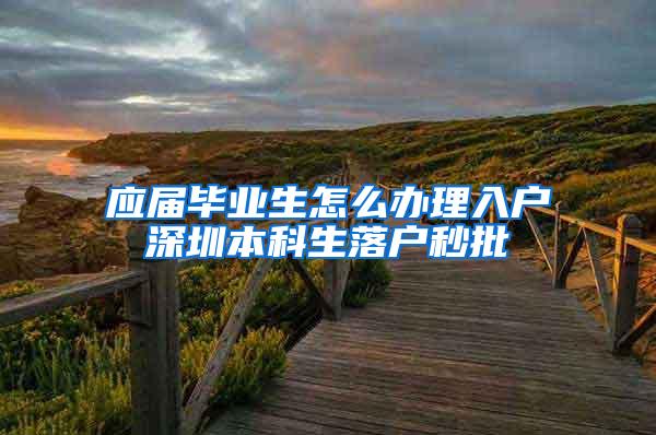 应届毕业生怎么办理入户深圳本科生落户秒批
