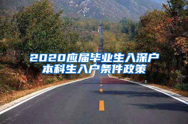 2020应届毕业生入深户本科生入户条件政策