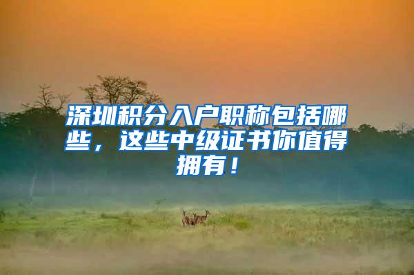 深圳积分入户职称包括哪些，这些中级证书你值得拥有！