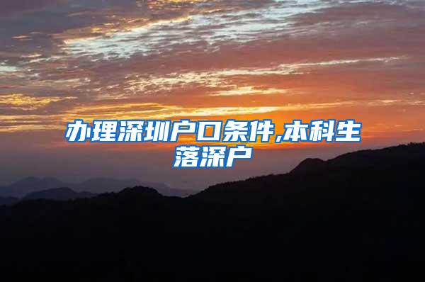 办理深圳户口条件,本科生落深户
