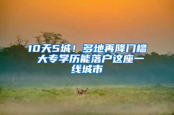 10天5城！多地再降门槛 大专学历能落户这座一线城市