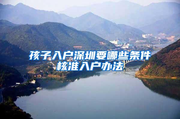 孩子入户深圳要哪些条件核准入户办法