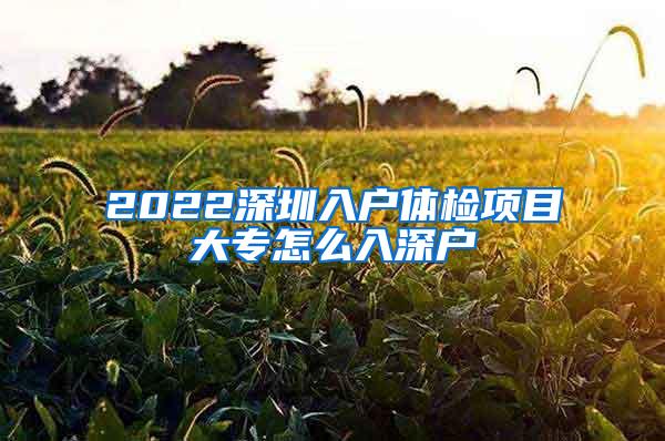 2022深圳入户体检项目大专怎么入深户