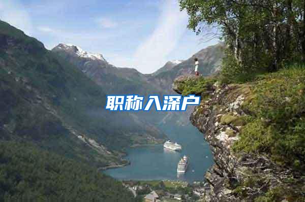 职称入深户