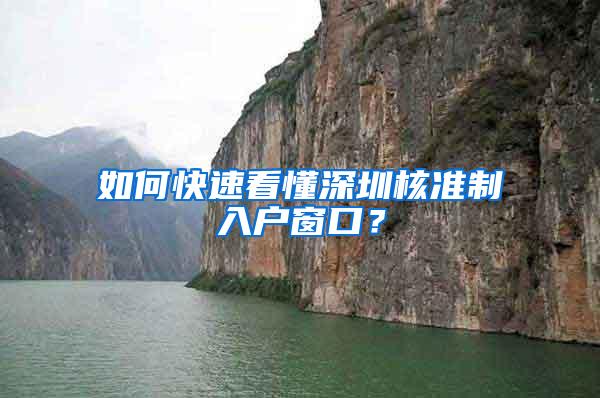 如何快速看懂深圳核准制入户窗口？