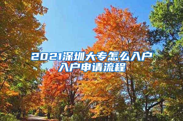 2021深圳大专怎么入户入户申请流程