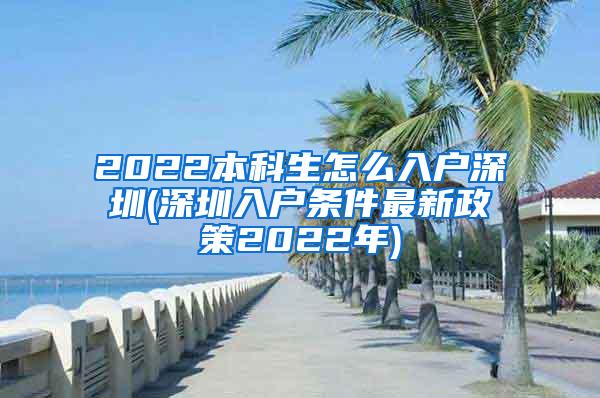 2022本科生怎么入户深圳(深圳入户条件最新政策2022年)