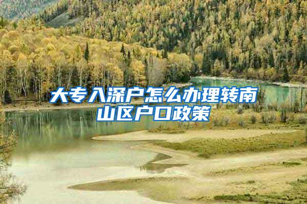 大专入深户怎么办理转南山区户口政策