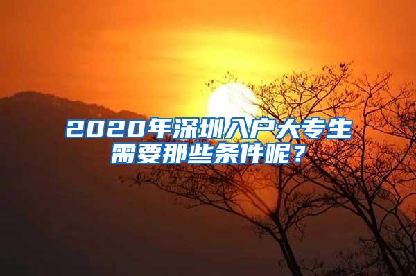 2020年深圳入户大专生需要那些条件呢？