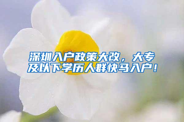 深圳入户政策大改，大专及以下学历人群快马入户！