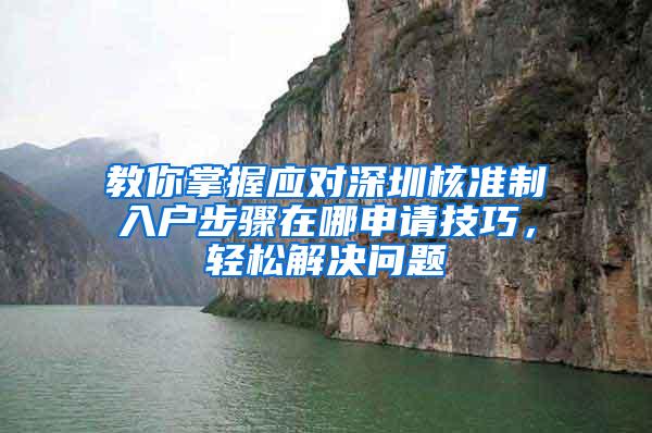 教你掌握应对深圳核准制入户步骤在哪申请技巧，轻松解决问题