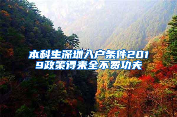 本科生深圳入户条件2019政策得来全不费功夫