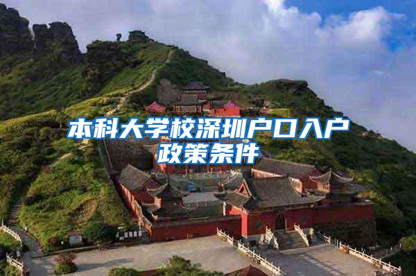 本科大学校深圳户口入户政策条件