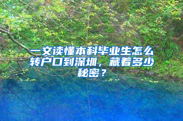 一文读懂本科毕业生怎么转户口到深圳，藏着多少秘密？