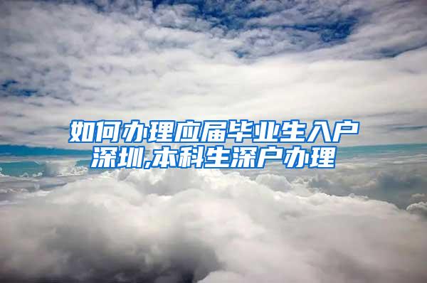 如何办理应届毕业生入户深圳,本科生深户办理
