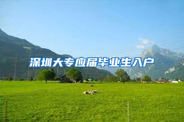 深圳大专应届毕业生入户