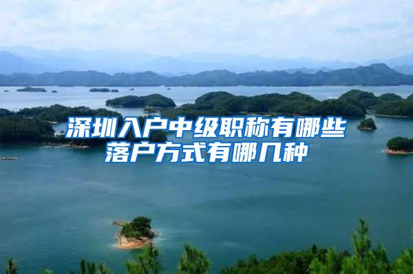 深圳入户中级职称有哪些落户方式有哪几种
