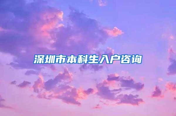 深圳市本科生入户咨询