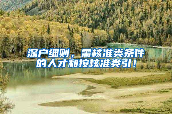 深户细则，需核准类条件的人才和按核准类引！