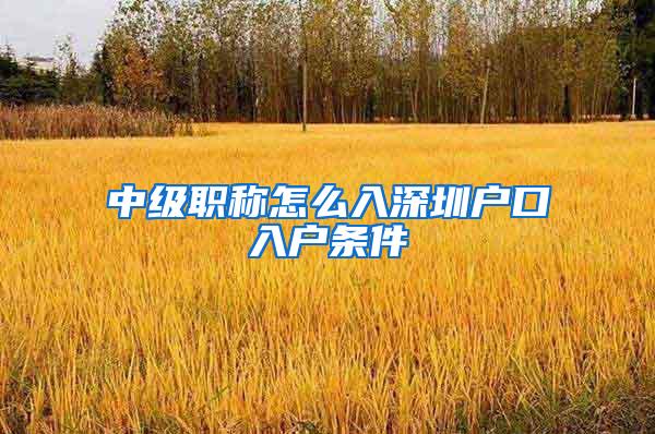 中级职称怎么入深圳户口入户条件