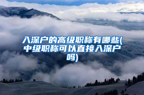 入深户的高级职称有哪些(中级职称可以直接入深户吗)