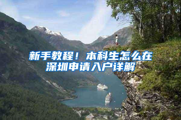 新手教程！本科生怎么在深圳申请入户详解