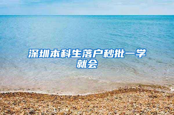 深圳本科生落户秒批一学就会