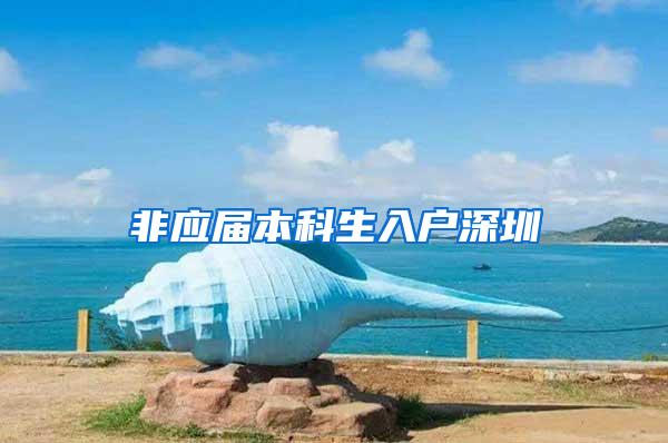 非应届本科生入户深圳