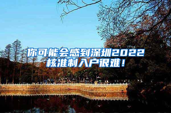你可能会感到深圳2022核准制入户很难！