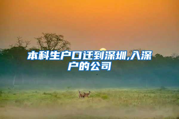 本科生户口迁到深圳,入深户的公司