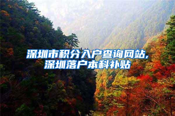深圳市积分入户查询网站,深圳落户本科补贴