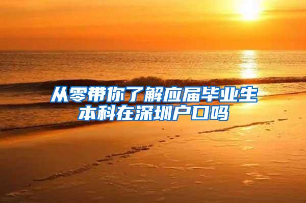 从零带你了解应届毕业生本科在深圳户口吗
