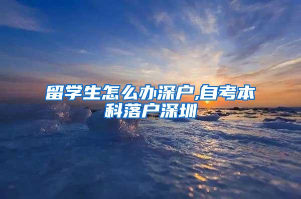 留学生怎么办深户,自考本科落户深圳