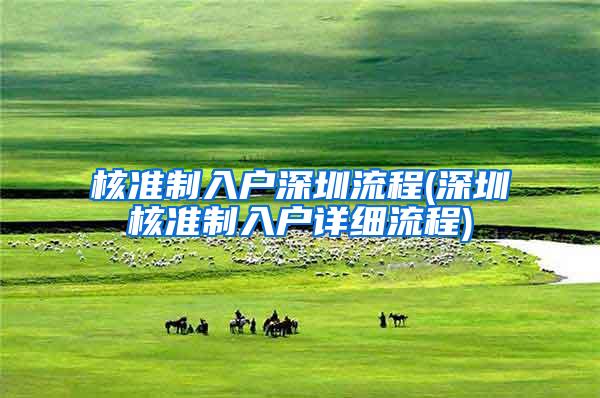 核准制入户深圳流程(深圳核准制入户详细流程)