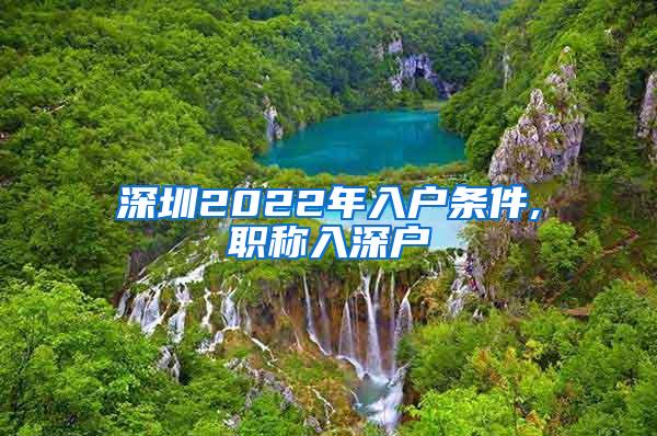 深圳2022年入户条件,职称入深户