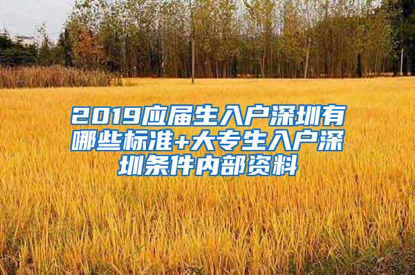 2019应届生入户深圳有哪些标准+大专生入户深圳条件内部资料