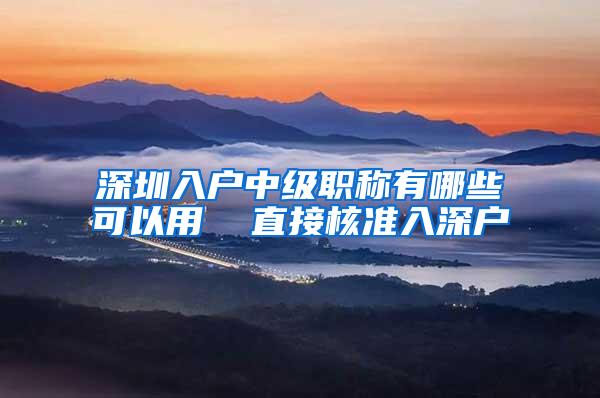 深圳入户中级职称有哪些可以用  直接核准入深户