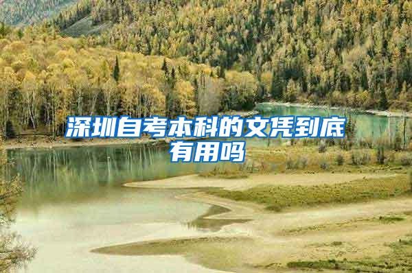 深圳自考本科的文凭到底有用吗