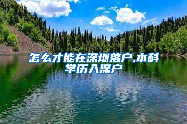 怎么才能在深圳落户,本科学历入深户