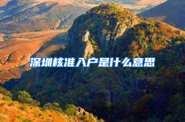 深圳核准入户是什么意思