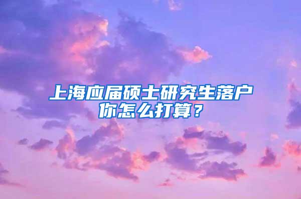 上海应届硕士研究生落户你怎么打算？