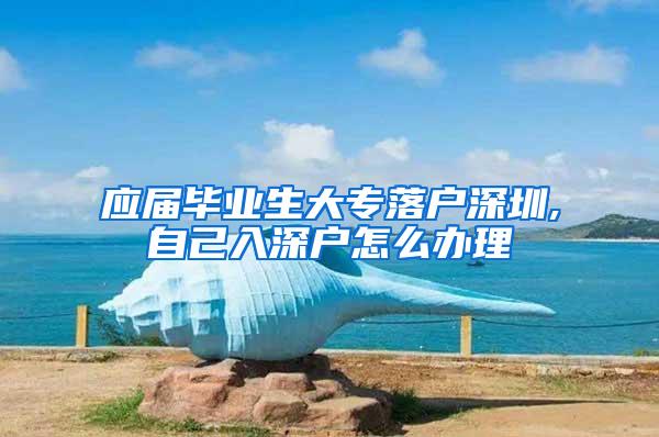 应届毕业生大专落户深圳,自己入深户怎么办理