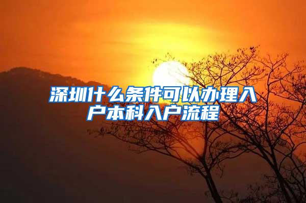 深圳什么条件可以办理入户本科入户流程