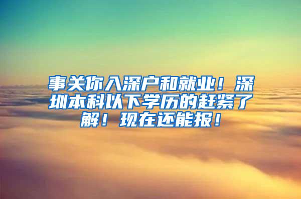 事关你入深户和就业！深圳本科以下学历的赶紧了解！现在还能报！