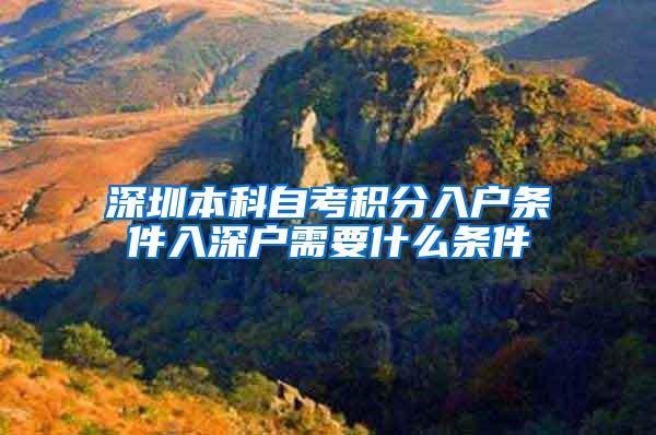 深圳本科自考积分入户条件入深户需要什么条件