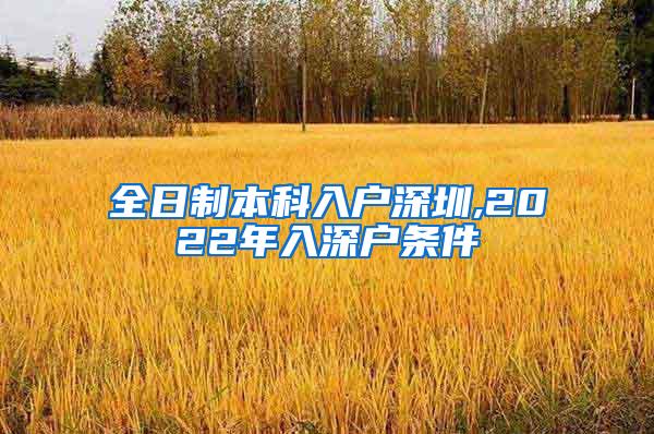 全日制本科入户深圳,2022年入深户条件