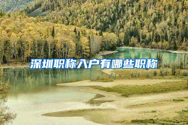 深圳职称入户有哪些职称