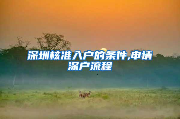 深圳核准入户的条件,申请深户流程