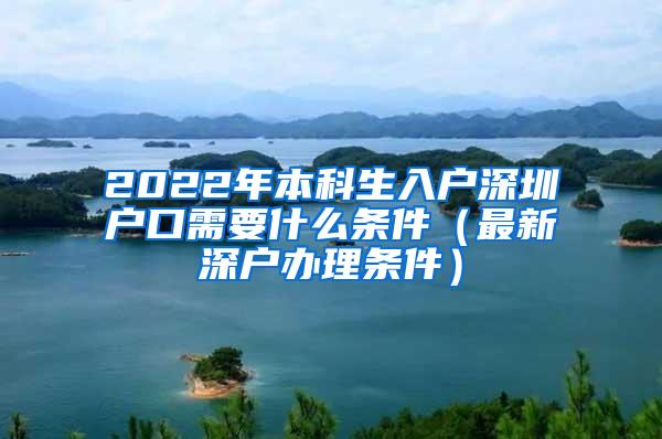 2022年本科生入户深圳户口需要什么条件（最新深户办理条件）