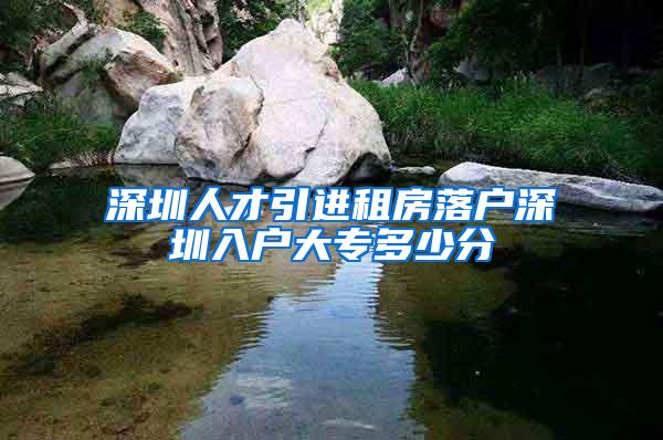 深圳人才引进租房落户深圳入户大专多少分